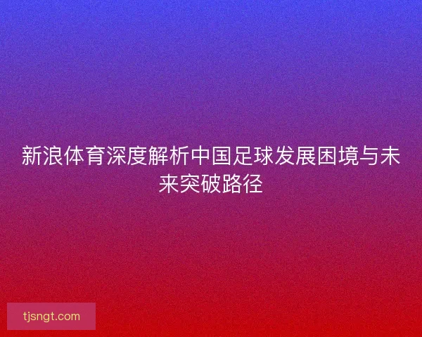 新浪体育深度解析中国足球发展困境与未来突破路径